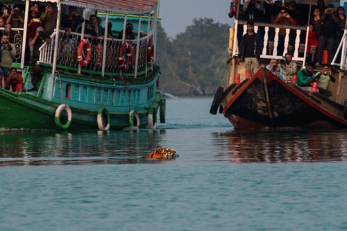 offbeat-sundarban-1n-2d